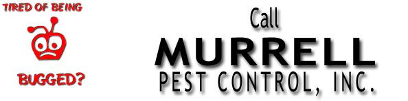 Lloyds Pest Control San Antonio Fl Serving San Antonio Tx Preston 